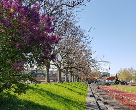 PSV Stuttgart Vereinsgelände