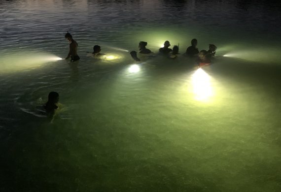 Taucher bei Nacht unter Wasser